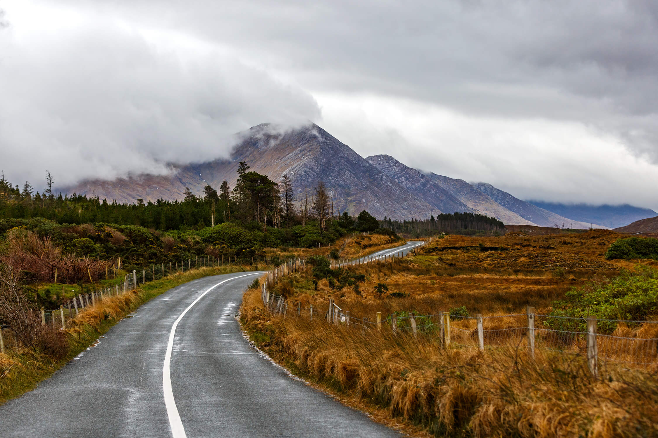 Kręta droga na Wild Atlantic Way w Irlandii