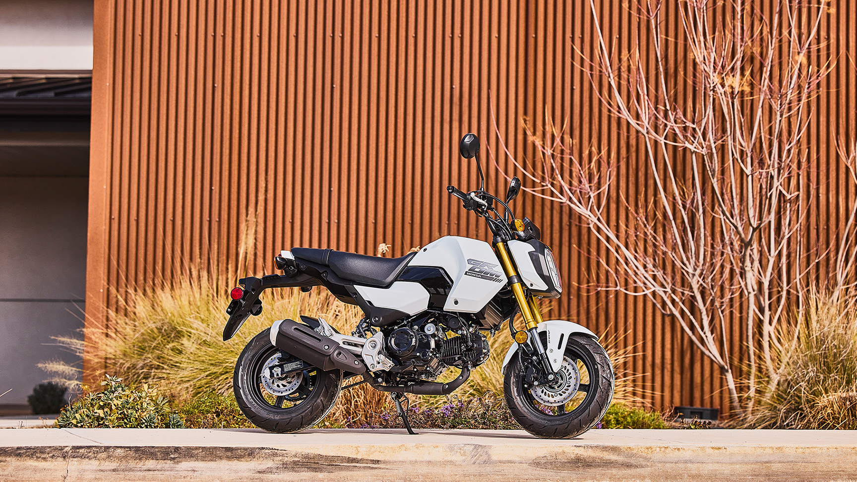MSX125 Grom w kolorze białym, ujęcie statyczne z boku