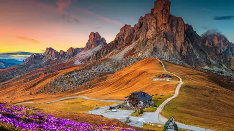 Wspaniała alpejska sceneria z wiosennymi krokusami na wzgórzach i spektakularnym widokiem gór o zachodzie słońca, przełęcz Giau, Dolomity, Włochy, Europa