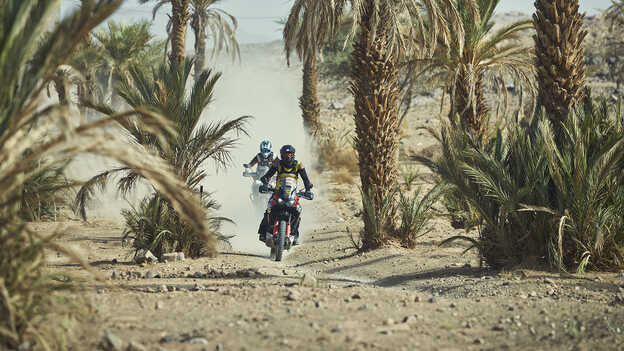 Kierowcy na motocyklach Africa Twin jadący przez oazę.