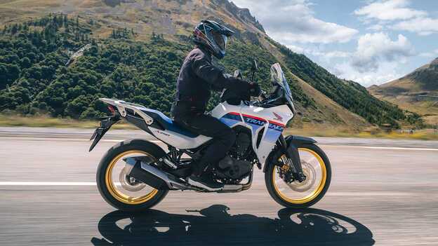 Ochraniacze kręgosłupa