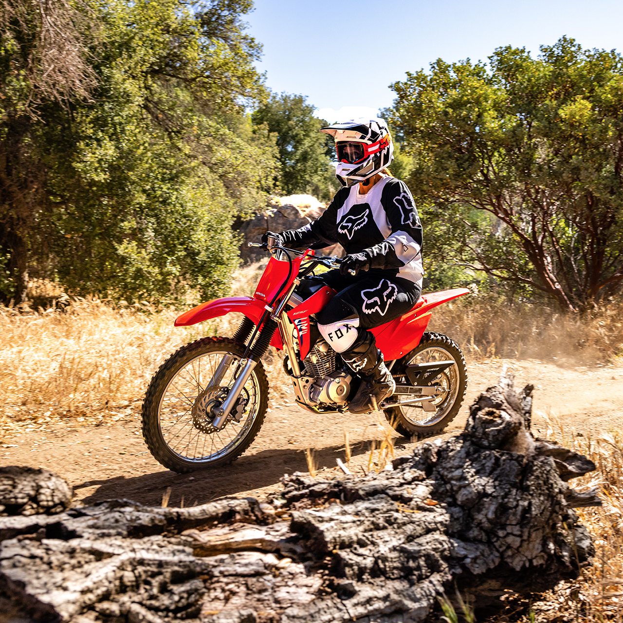 Honda CRF125F